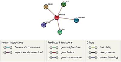 SAMHD1 as the Potential Link Between SARS-CoV-2 Infection and Neurological Complications